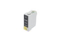 Atramentový cartridge Epson C13T10014010, black (čierny), kompatibilný